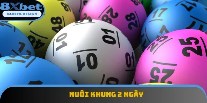 Hướng dẫn nuôi khung 2 ngày