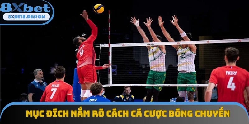 Mục đích hiểu rõ cách cá cược bóng chuyền